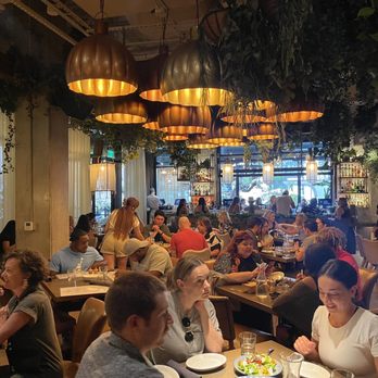 Aba - Indoor dining - Mediterranean Near Me - Austin, Texas Aba - Indoor dining - Mediterranean Near Me - Austin, Texas