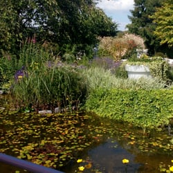 Le D'Arville - Autre photo du jardin