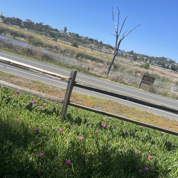 Hosp Grove Park - Parks Near Me - Carlsbad, California