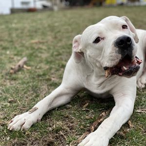 DOBIE RANCH RESCUE - Updated August 2025 - 8087 N Lazy Trail, Crystal