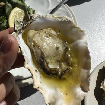 Tognazzini's Dockside - Bbq oyster - Seafood Near Me - Morro Bay, California