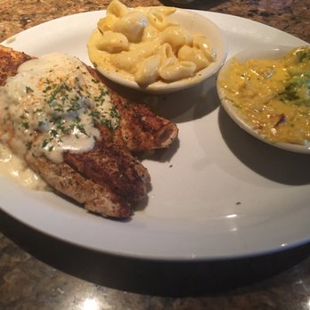 Cheddar's Scratch Kitchen - Redfish with crab sauce. I wouldn't recommend. If you do ask for a bit more sauce and rice. You can't even see the rice in the picture. - American Near Me - San Antonio, Texas Cheddar's Scratch Kitchen - Redfish with crab sauce. I wouldn't recommend. If you do ask for a bit more sauce and rice. You can't even see the rice in the picture. - American Near Me - San Antonio, Texas