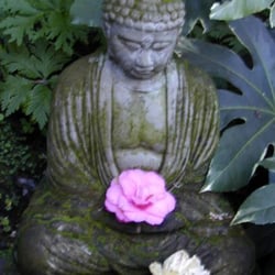 Hartford Street Zen Center - In the back garden.