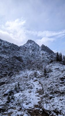 North Cascades National Park by null