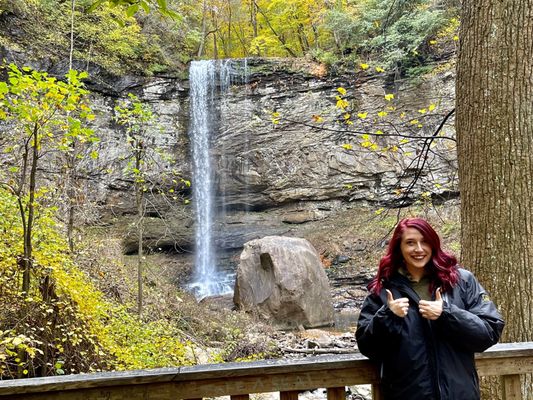 Cloudland Canyon State Park by null