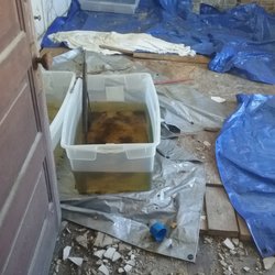 Patrick Erb Home Inspection - I wonder if there is a roof leak?