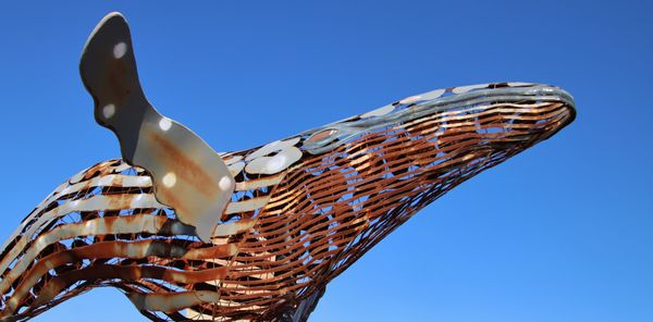 Jones Beach State Park by null