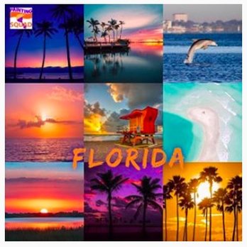 Painting Squad - florida - Painters Near Me - Bradenton, Florida Painting Squad - florida - Painters Near Me - Bradenton, Florida