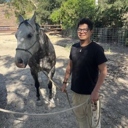 Wildwood Recovery - Horse therapy