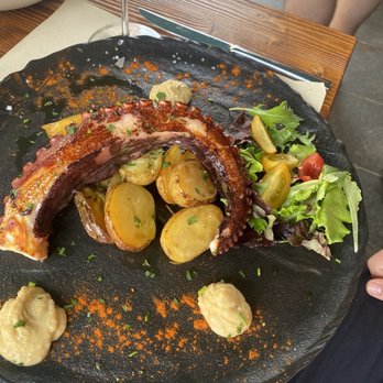 Nevodi - Octopus - Bars Near Me - Venezia, VE