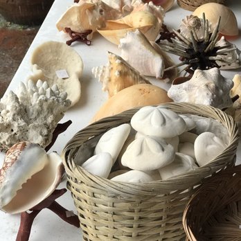 Island Gifts - More shells - Souvenir Shops Near Me - Sanibel, Florida