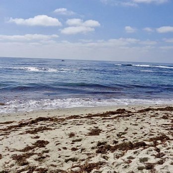 Children's Pool - Beaches Near Me - La Jolla, California Children's Pool - Beaches Near Me - La Jolla, California
