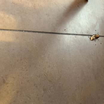 McDonald's - Even more ants on their floor - Burgers Near Me - Blissfield, Michigan McDonald's - Even more ants on their floor - Burgers Near Me - Blissfield, Michigan