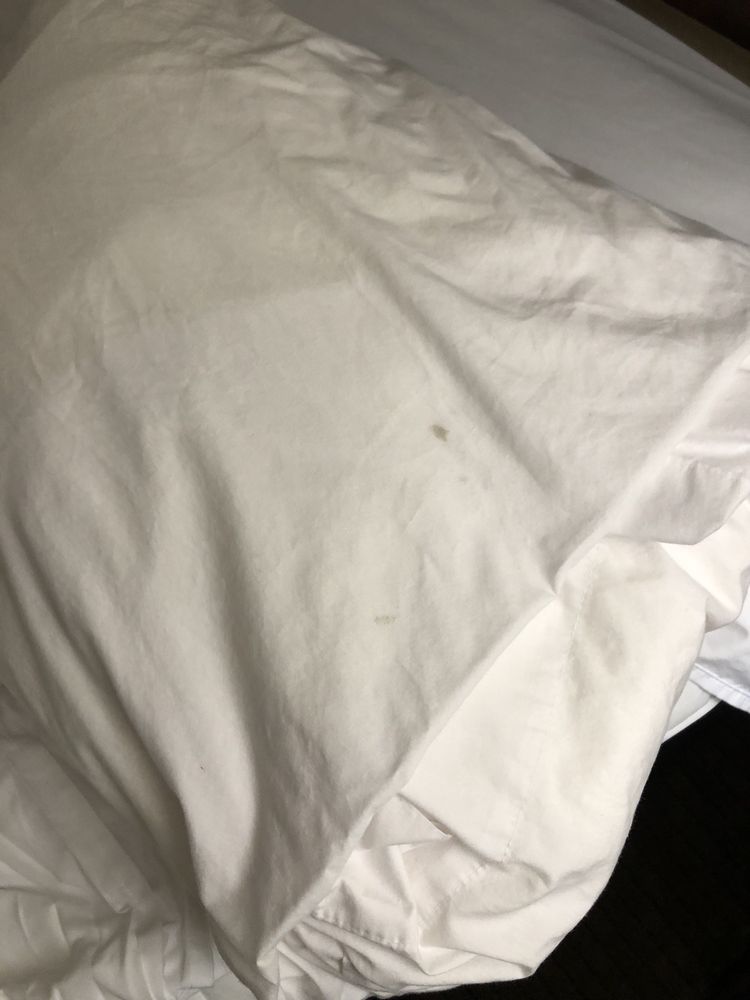 COMFORT SUITES MOBILE WEST TILLMANS CORNER Updated August 2024 44 Photos & 21 Reviews 5660