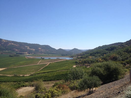 Antinori Napa Valley by null