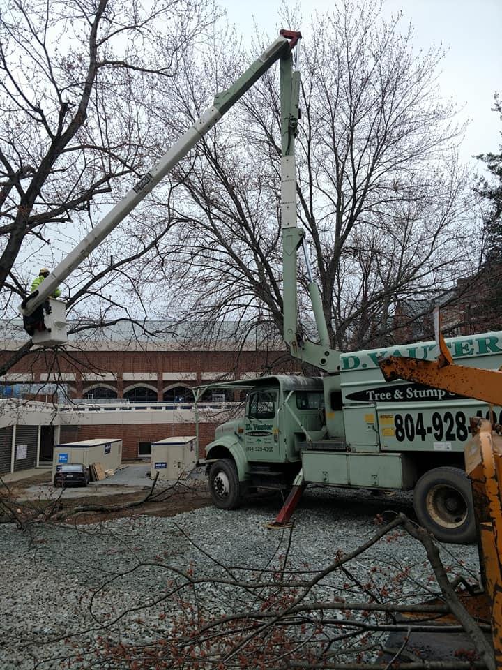D. Vauter Tree and Stump Service - tree service in Richmond, VA