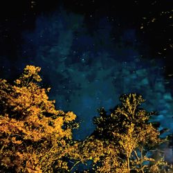 Gooney Creek Campground - The stars at night!