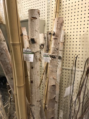 Hobby Lobby by null
