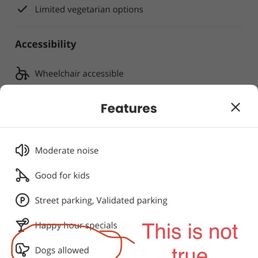 Dogs are not allowed here. Dogs are not allowed here.