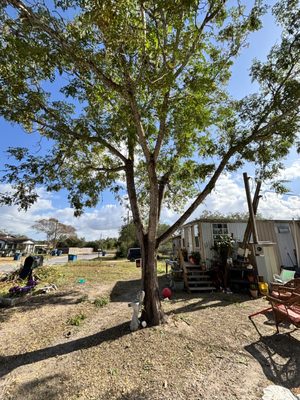 Pennys Handy Service