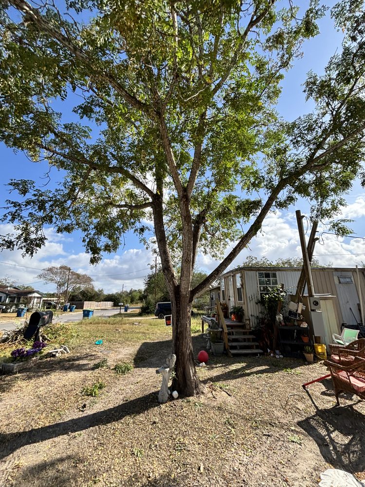 Slide of Pennys Handy Service