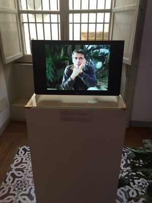 Museo Mandralisca by null