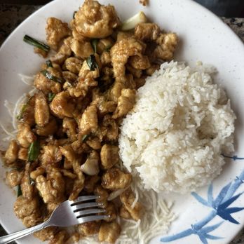 Tea Leaf 2 - Mongolian chicken!!!! - Chinese Near Me - Lacey, Washington Tea Leaf 2 - Mongolian chicken!!!! - Chinese Near Me - Lacey, Washington