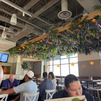 Tupelo Honey - Nice decor. - New American Near Me - Lenexa, Kansas