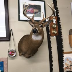 PackRats Resale & Consignment - 8 pt Buck mount & more