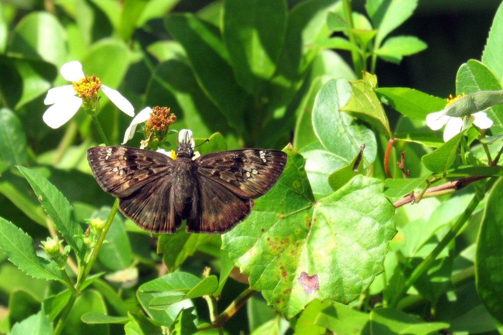 SHADOW BAY PARK 76 Photos & 36 Reviews 5100 Turkey Lake Rd, Orlando
