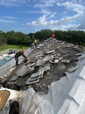 Pro Roofing Services