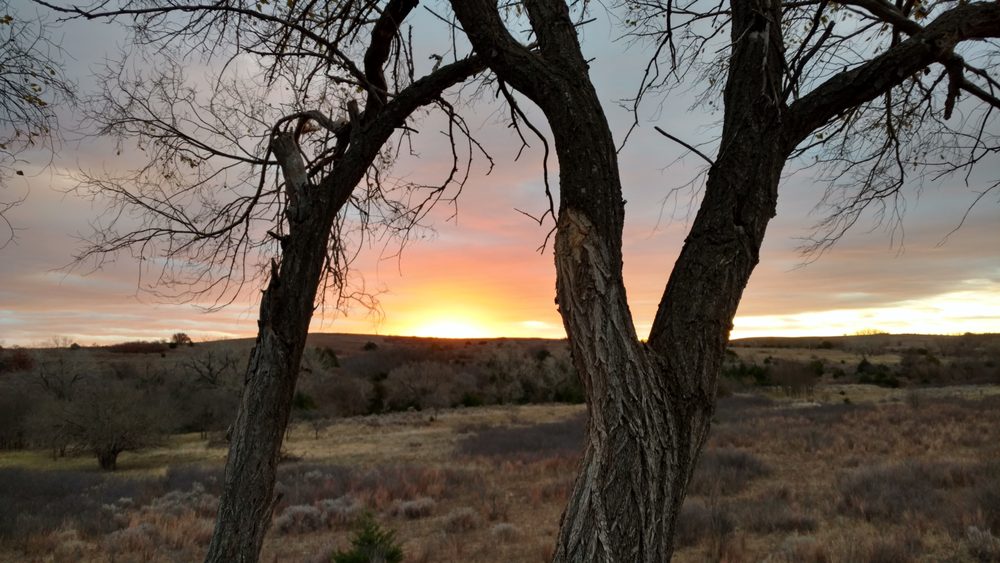 Over Under Services - tree service in Oklahoma City, OK