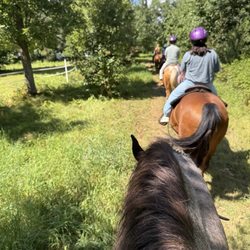 Outback Trail Rides - Horse back trail ride