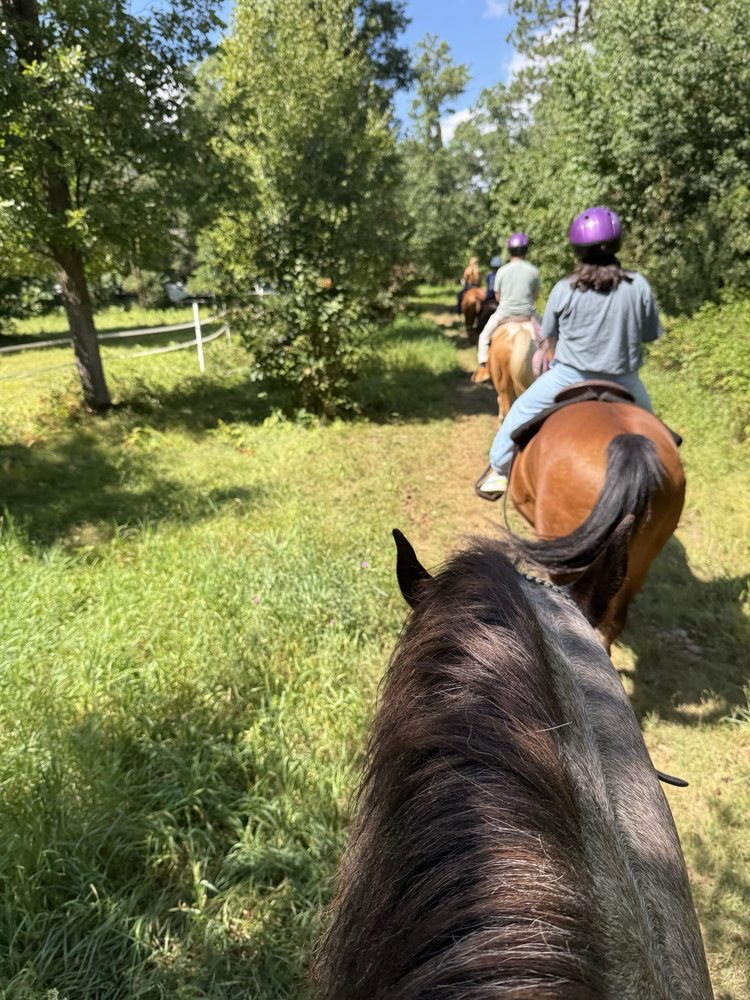 Outback Trail Rides Logo