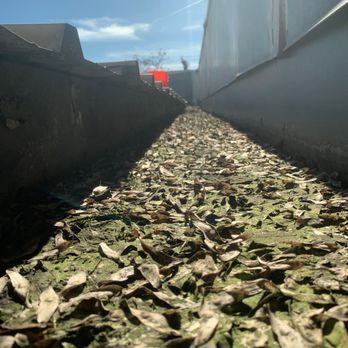 Rain Gutter Cleaning Professionals - Before - Gutter Services Near Me Rain Gutter Cleaning Professionals - Before - Gutter Services Near Me