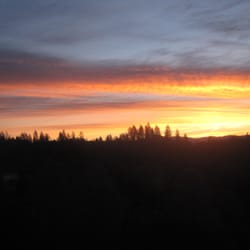 Courtwood Inn - Sunrise view from Courtwood Inn