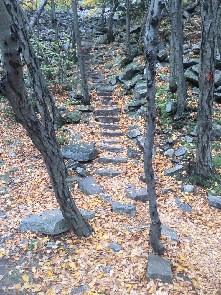 THOUSAND STEPS Updated August 2024 14 Photos William Penn Hwy