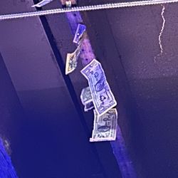 Corner Bar - We hung our dollar