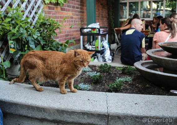 Bill's Beer Garden by null