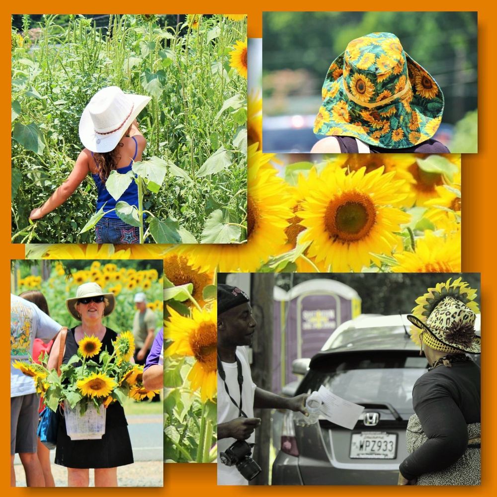 SUNFLOWER TRAIL Updated September 2024 56 Photos Louisiana 3049