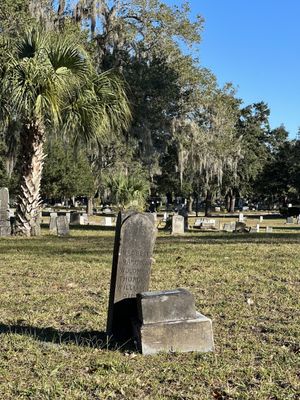 Greenwood Cemetery by null