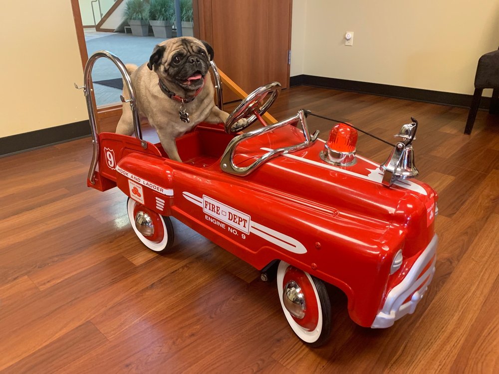 Brady Nelson - State Farm Insurance Agent