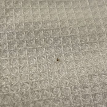 Hyatt Place Denver/Cherry Creek - BED BUGS!! - Hotels Near Me - Glendale, Colorado Hyatt Place Denver/Cherry Creek - BED BUGS!! - Hotels Near Me - Glendale, Colorado