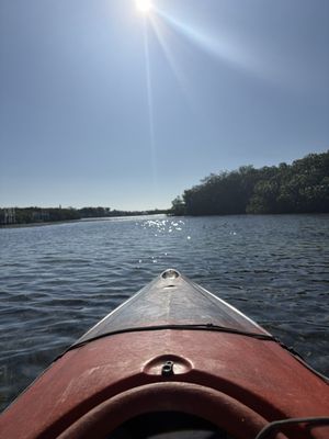 Lazy Dog Adventures by null