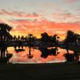 Oasis Palms RV Resort