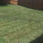 Photo of Enterprise landscaping and sprinkler repairs