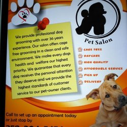 Designer Dogs Pet Salon - Ocala