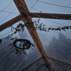 They leave these lights and the greenery always up