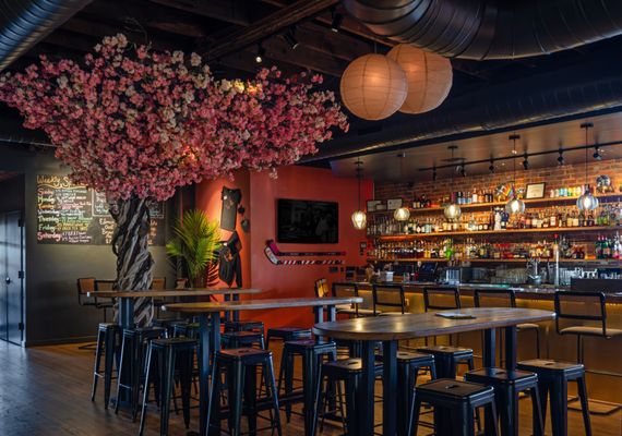 The Velvet Hippo Bar & Lounge by null