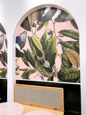 Cauldron Ice Cream by null